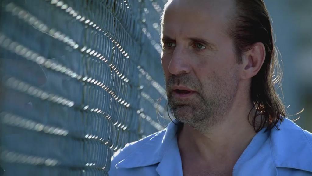 Prison Break Season 5 Complete Torrent